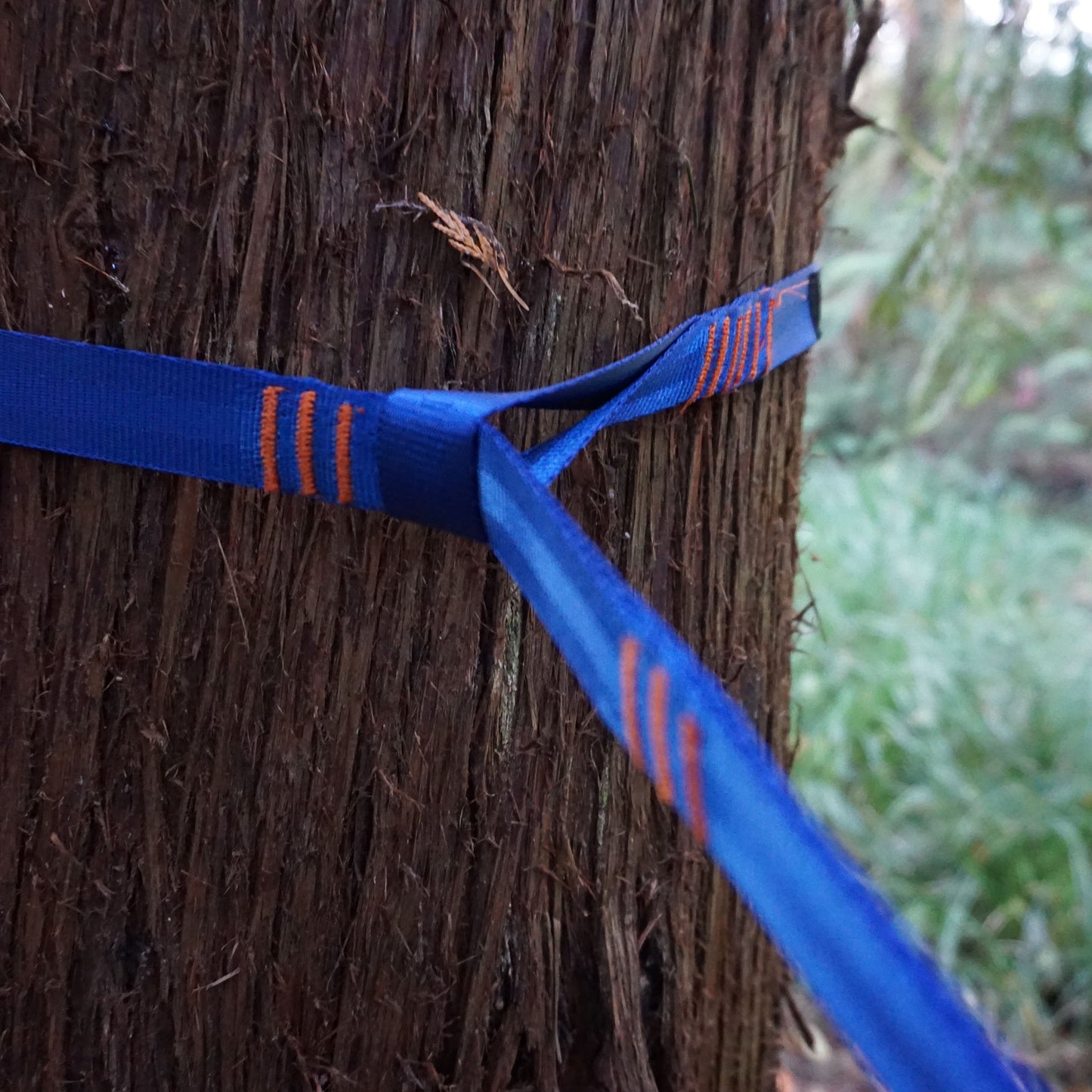 Trunk Straps - Hammock Suspension Straps