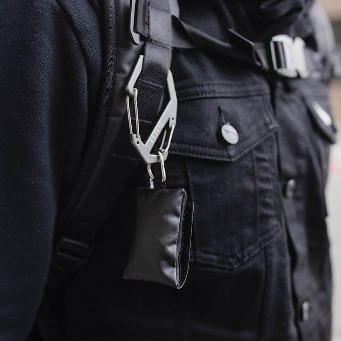 Carabiner Gray